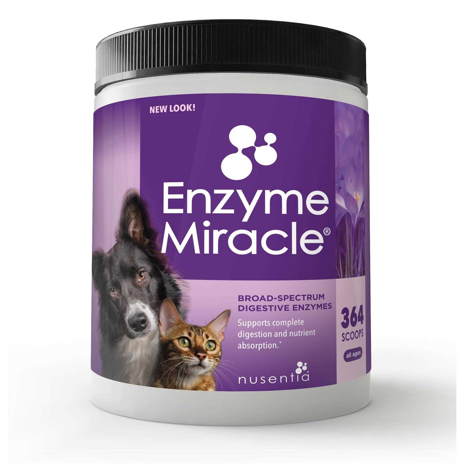 Enzyme Miracle Digestive - Healthber