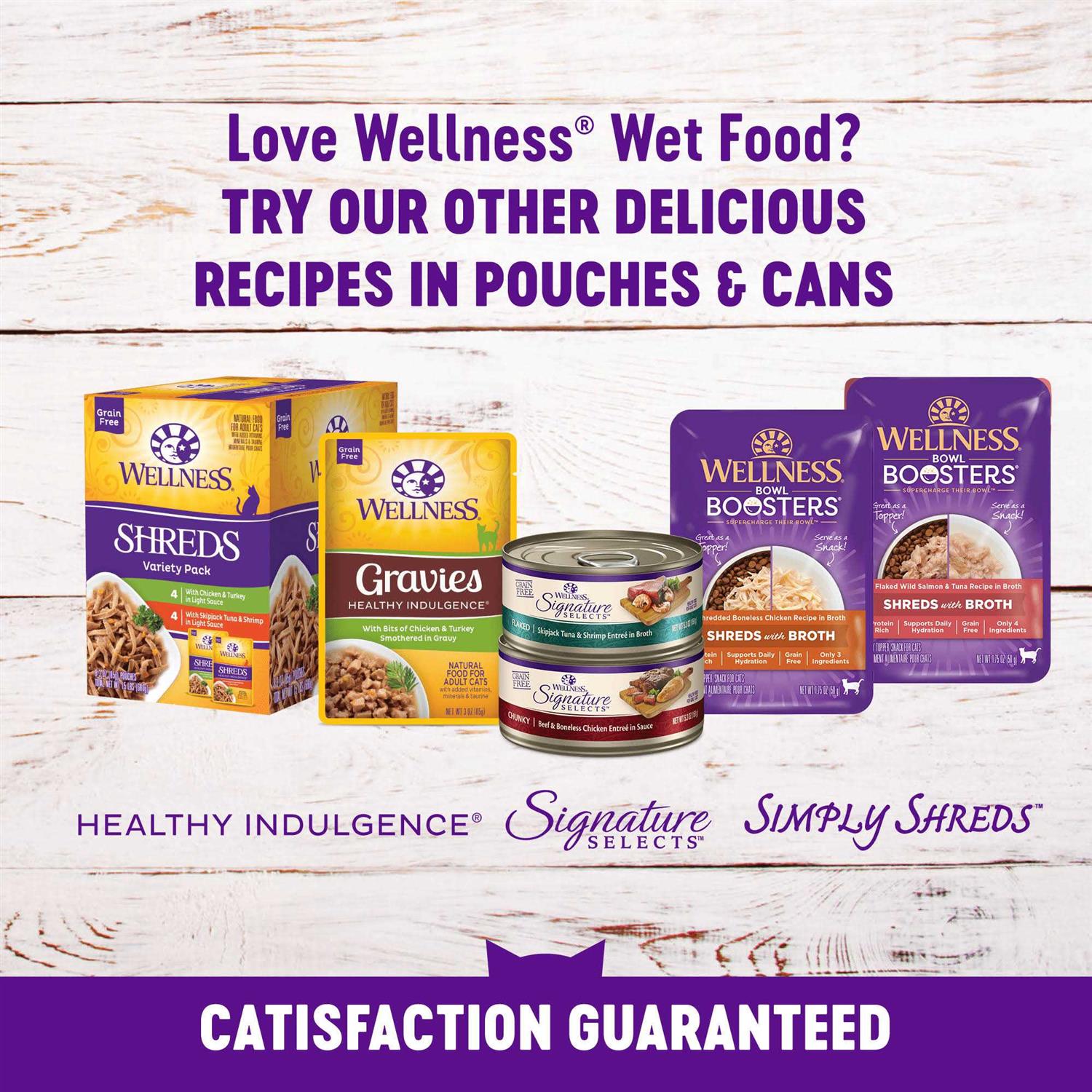 Wellness Complete Health Kitten Whitefish & Tuna Wet Cat Food - Healthber