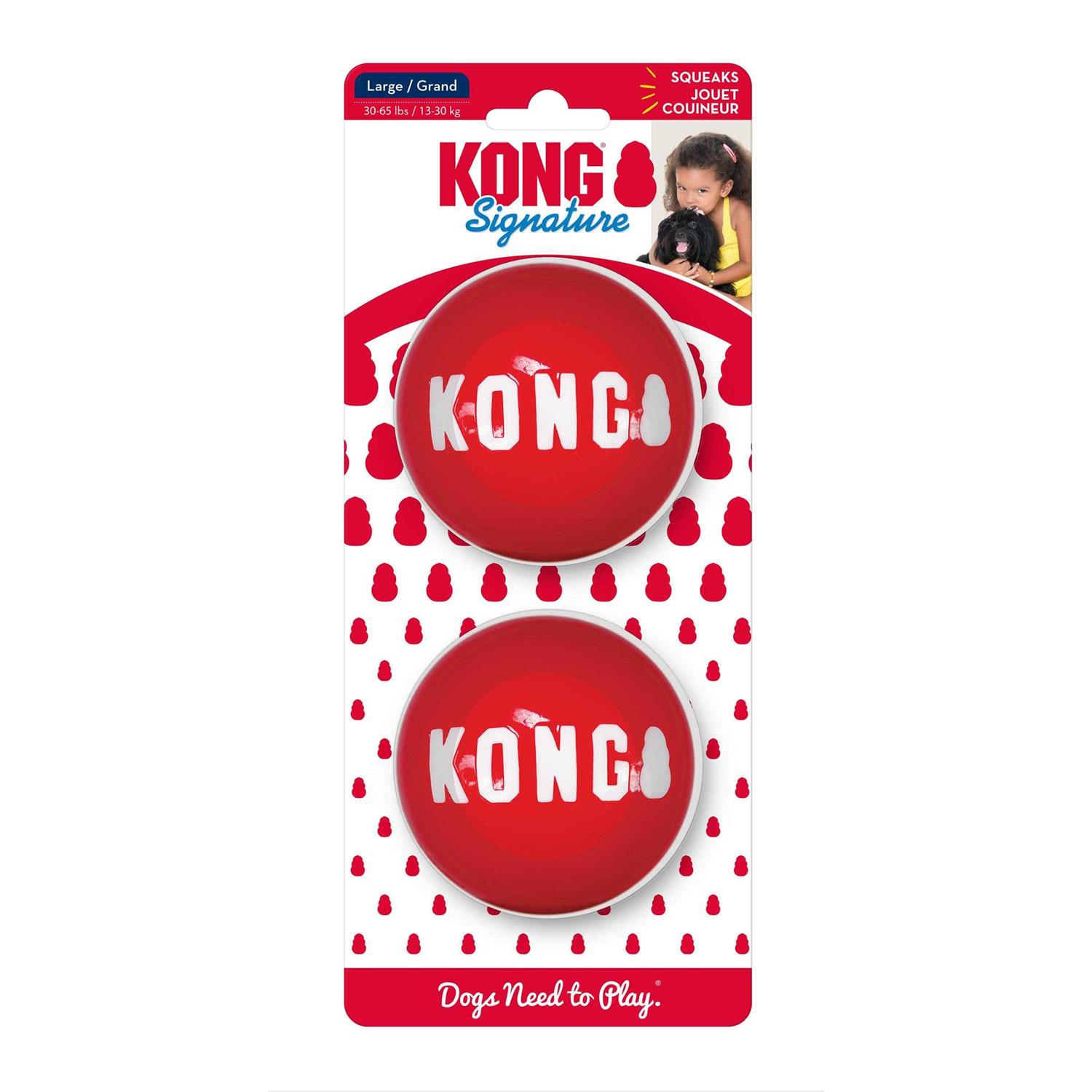 Kong Signature Ball Dog Toy - Healthber