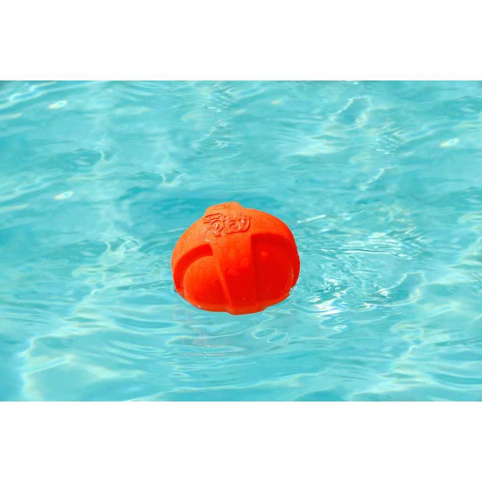 Hartz Dura Play Ball Dog Toy - Healthber
