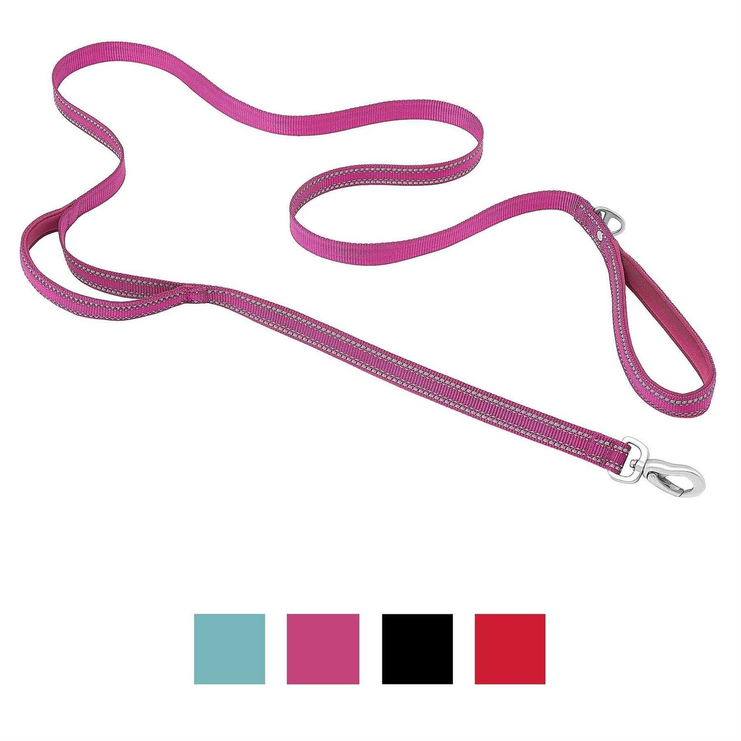 Frisco Outdoor Nylon Reflective Comfort Padded Dog Leash - Healthber