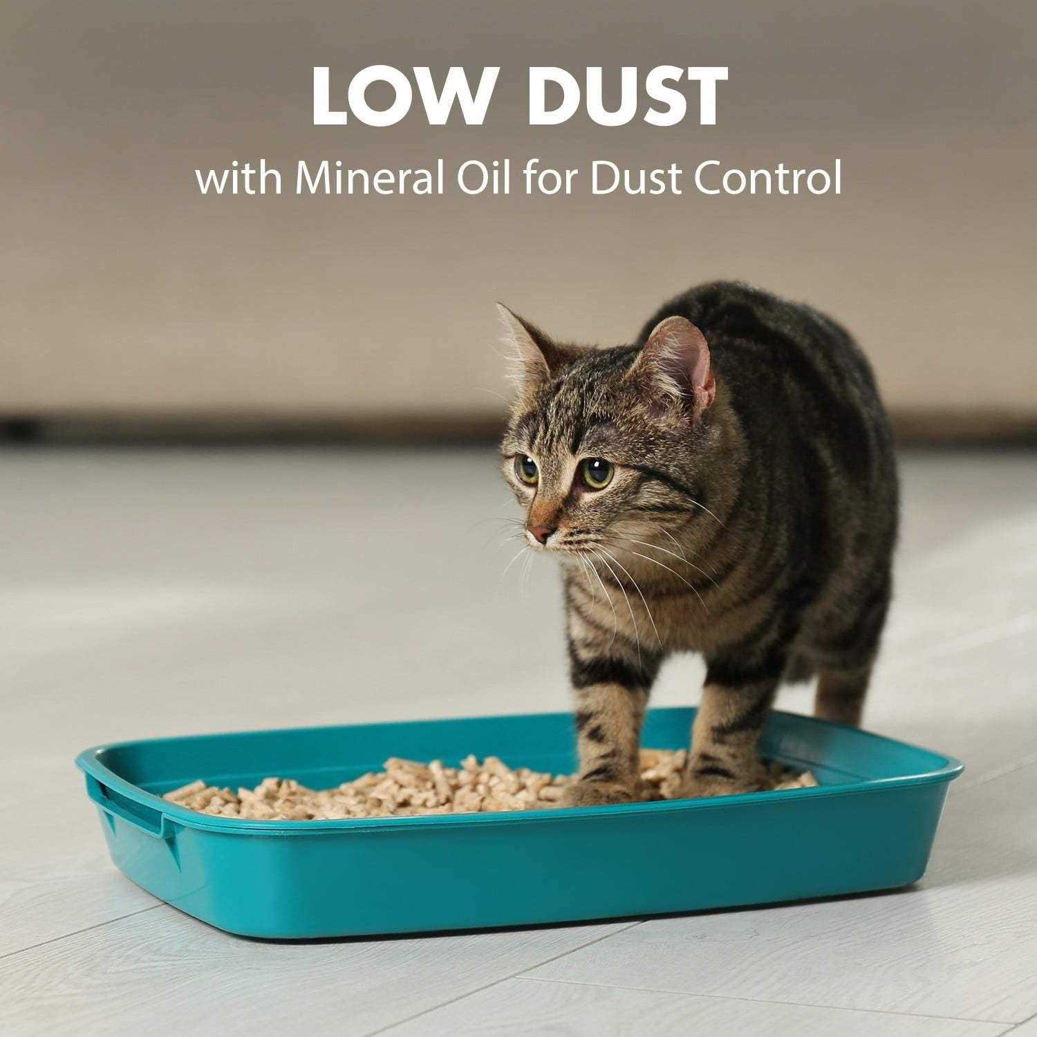 Arm & Hammer Clumping Litter - Healthber