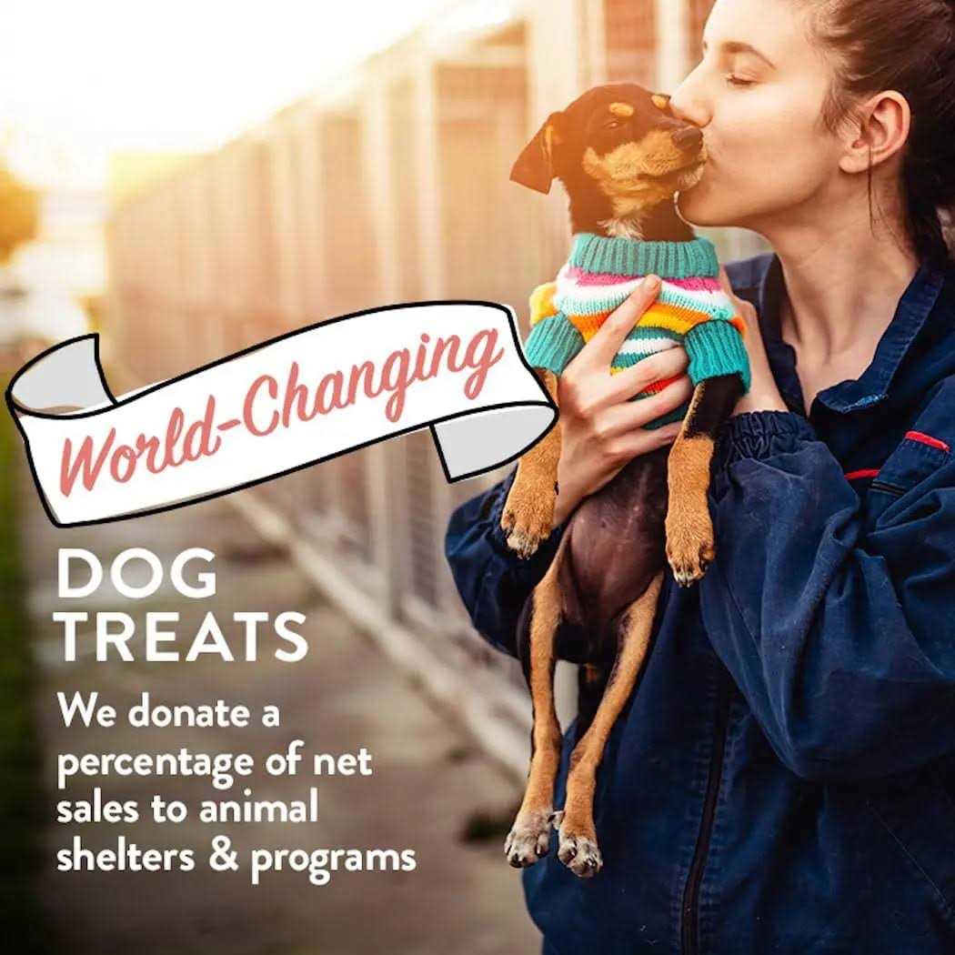 Portland Pet Food Company Bacon Biscuits Grain-Free & Gluten-Free Dog Treats - Healthber