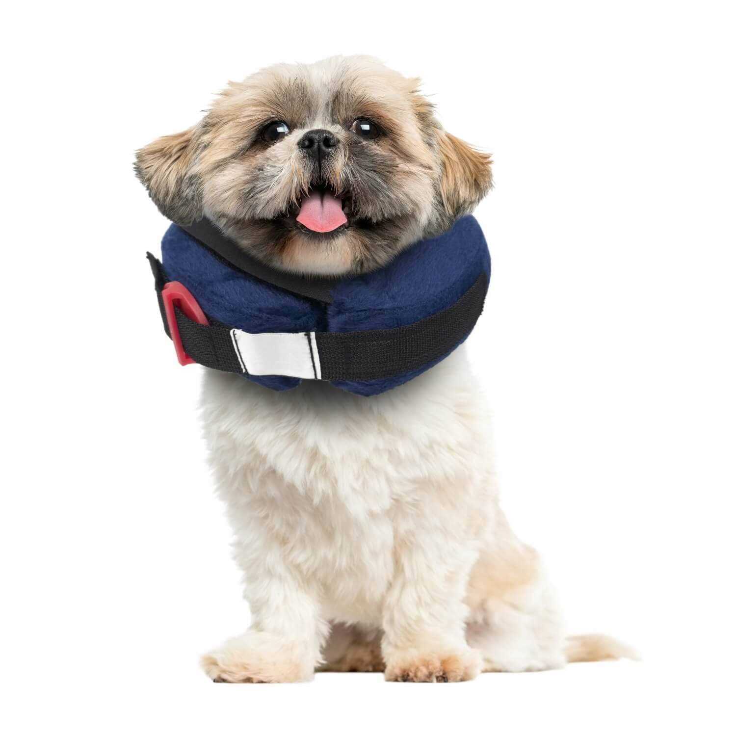 Calm Paws Inflatable Protective Collar - Healthber