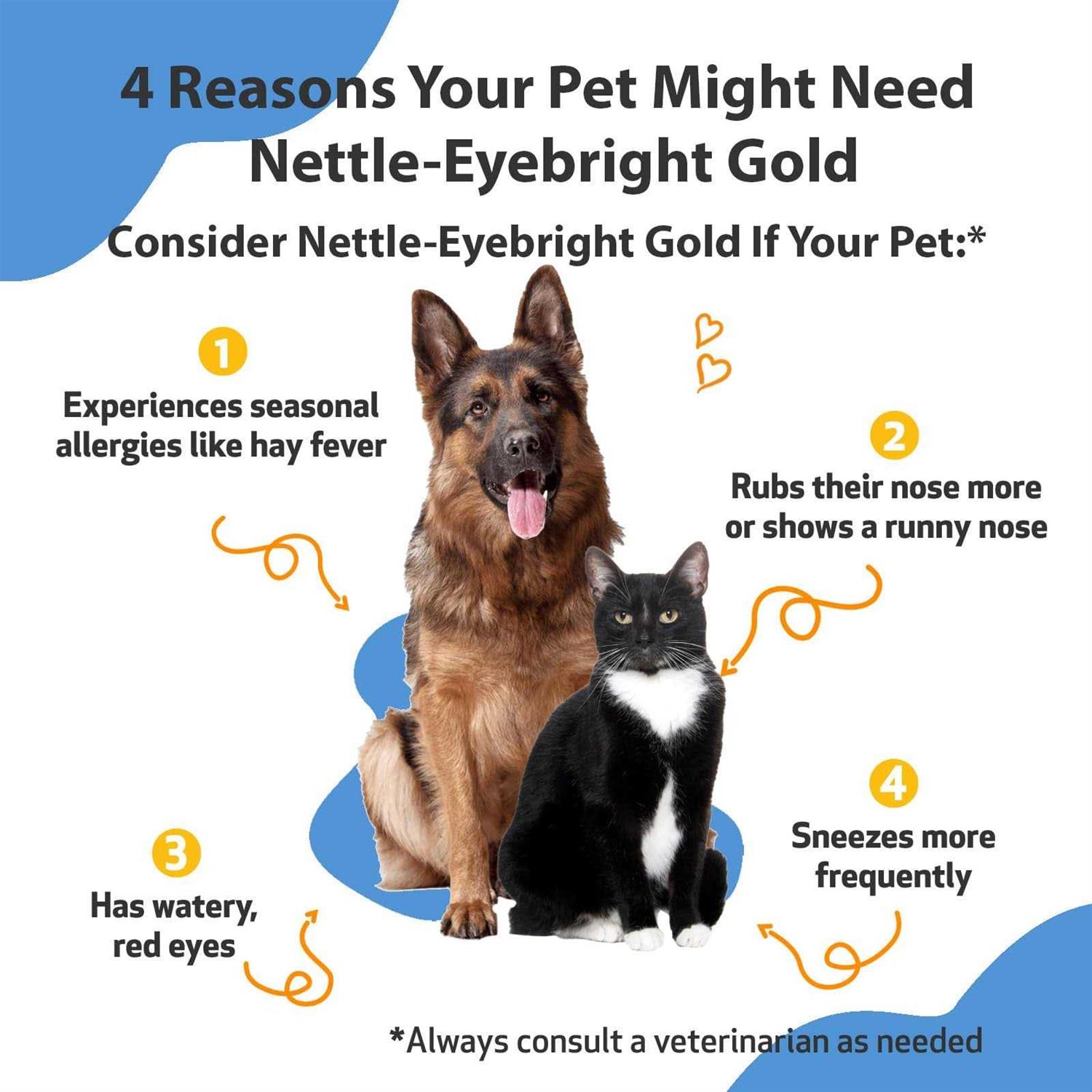Pet Wellbeing Nettle Eyebright Gold for Dogs - Healthber
