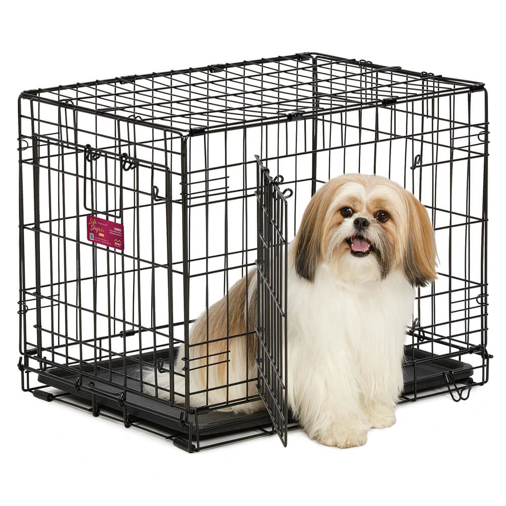 Life Stages ACE Double Door Crate for Dogs, Black, Small, 24