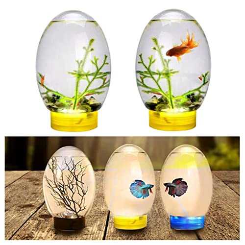 Mini Ecological Fish Tank, Closed Aquatic Ecosphere Desktop Aquarium with Led Base, Home Office Decor, No Need to Change Water (Color : Black) - Healthber