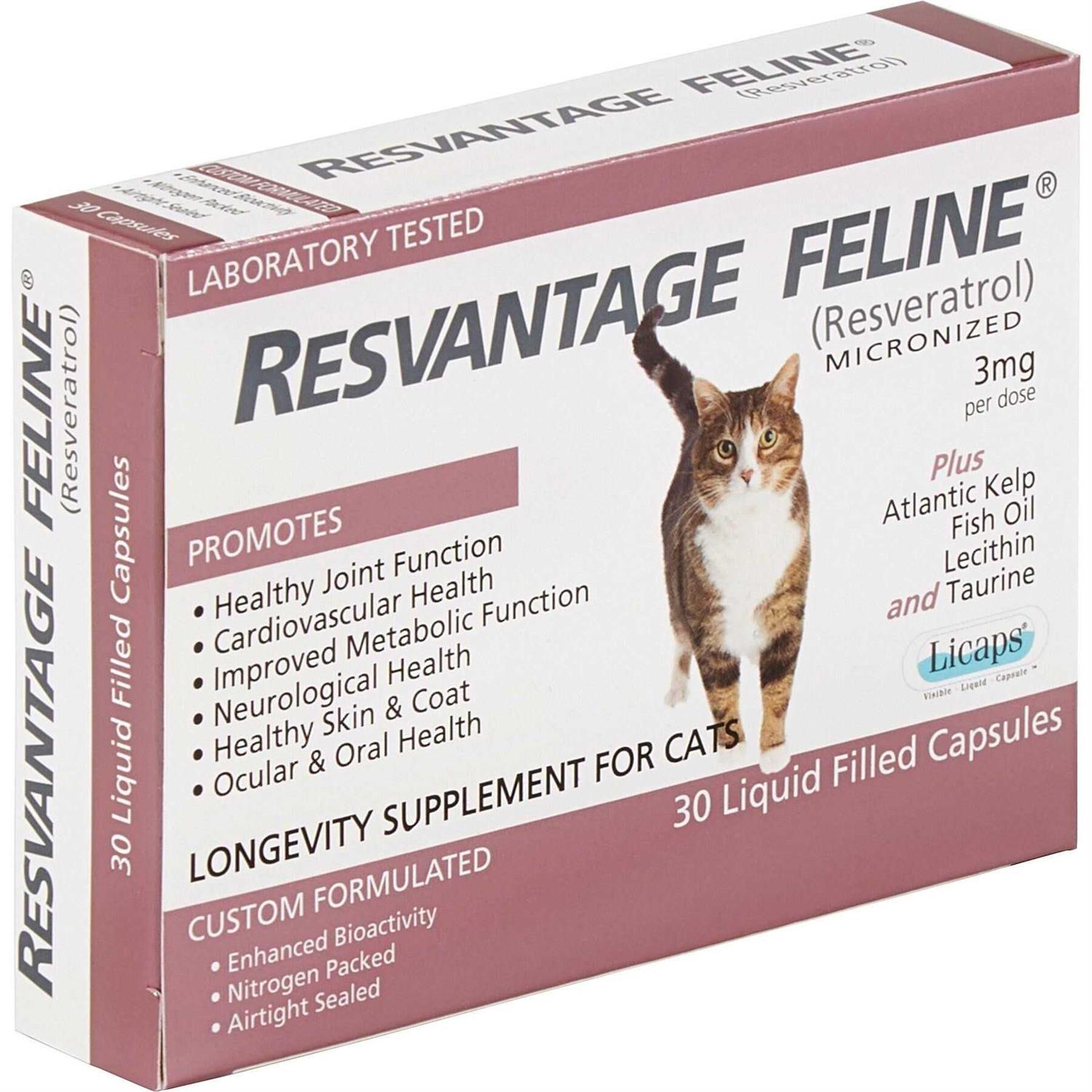 Resvantage Feline - Healthber