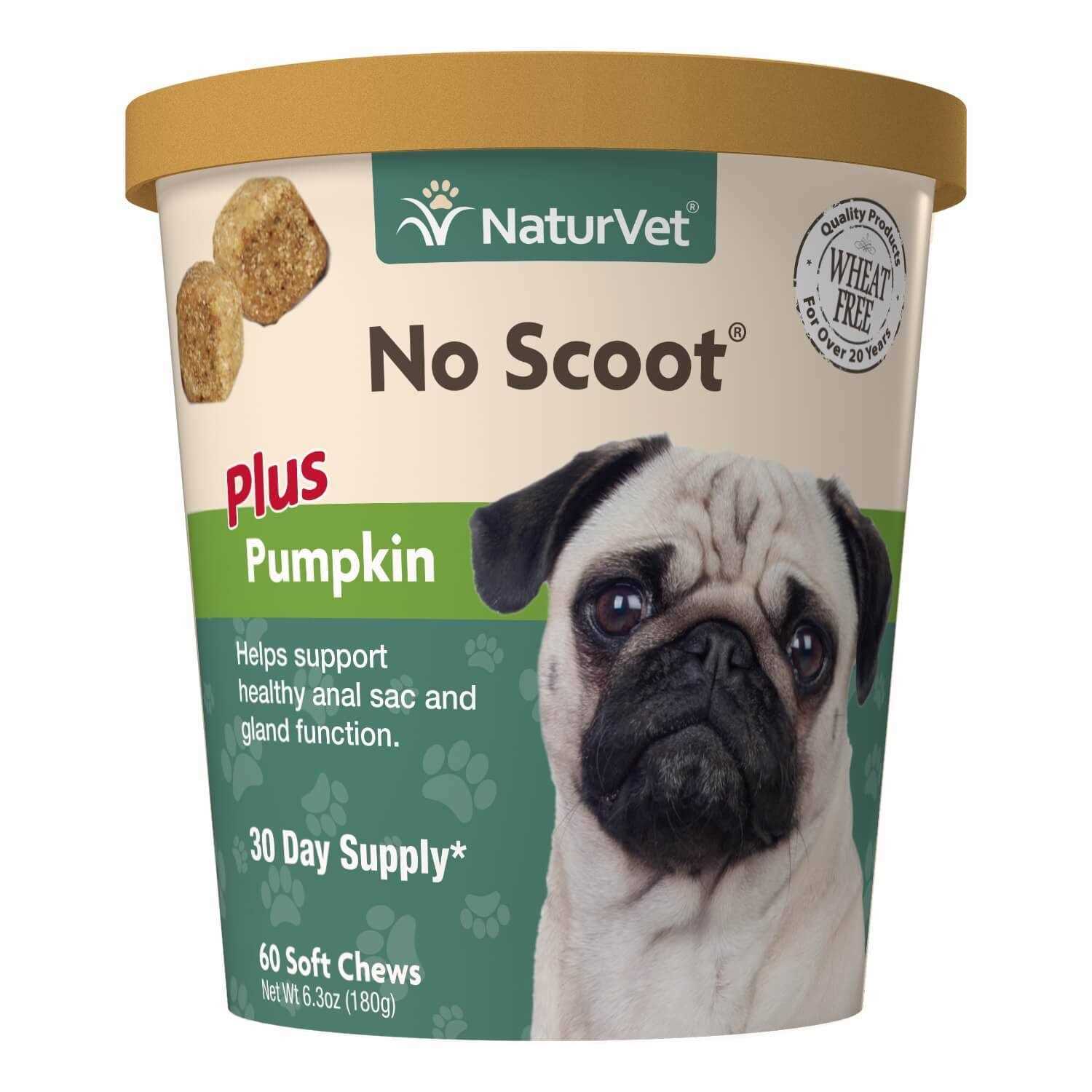 NaturVet No Scoot Plus Pumpkin Soft Chew - Healthber