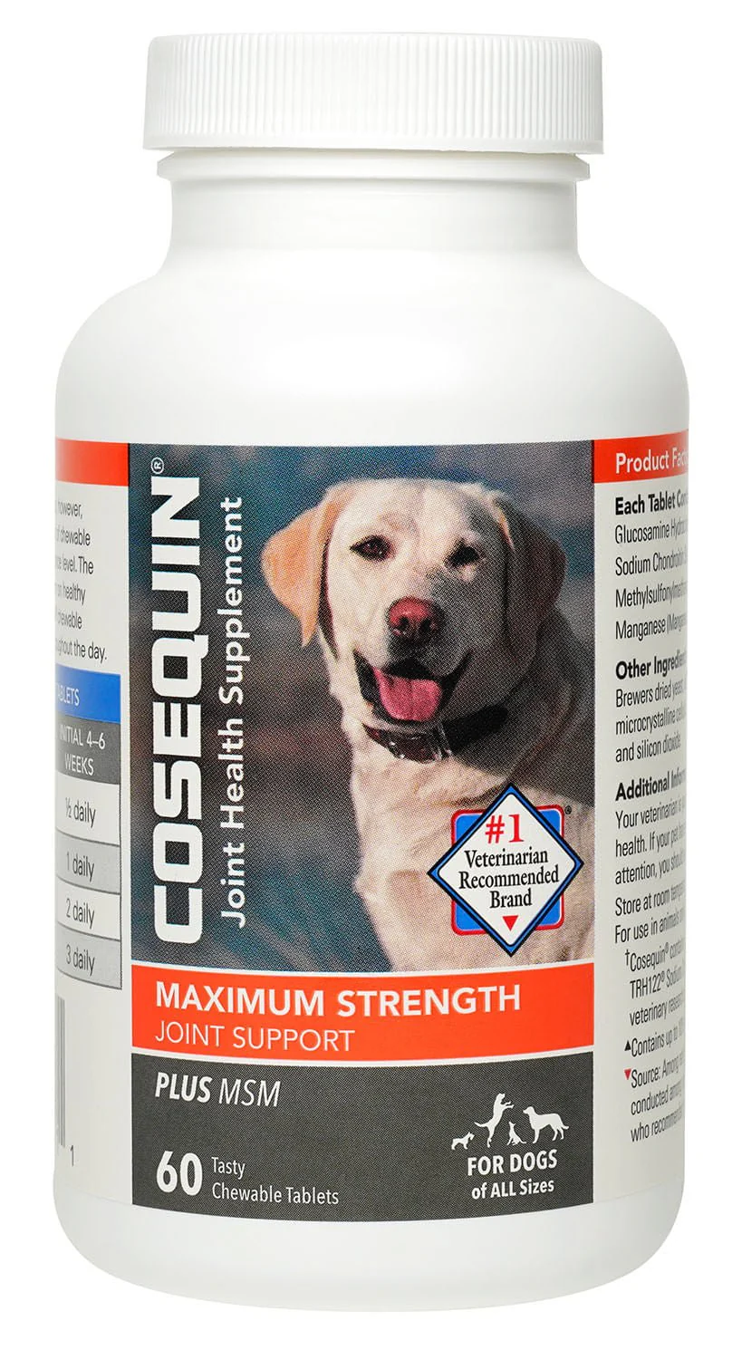 Nutramax Cosequin Maximum Strength Joint Health Plus MSM Supplement for Dogs, Chewable Tablets - Healthber
