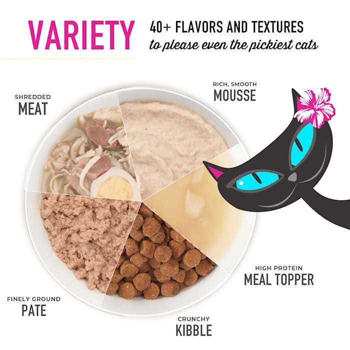 Tiki Cat Velvet Mousse Senior Chicken with Pumpkin Cat Food - Healthber