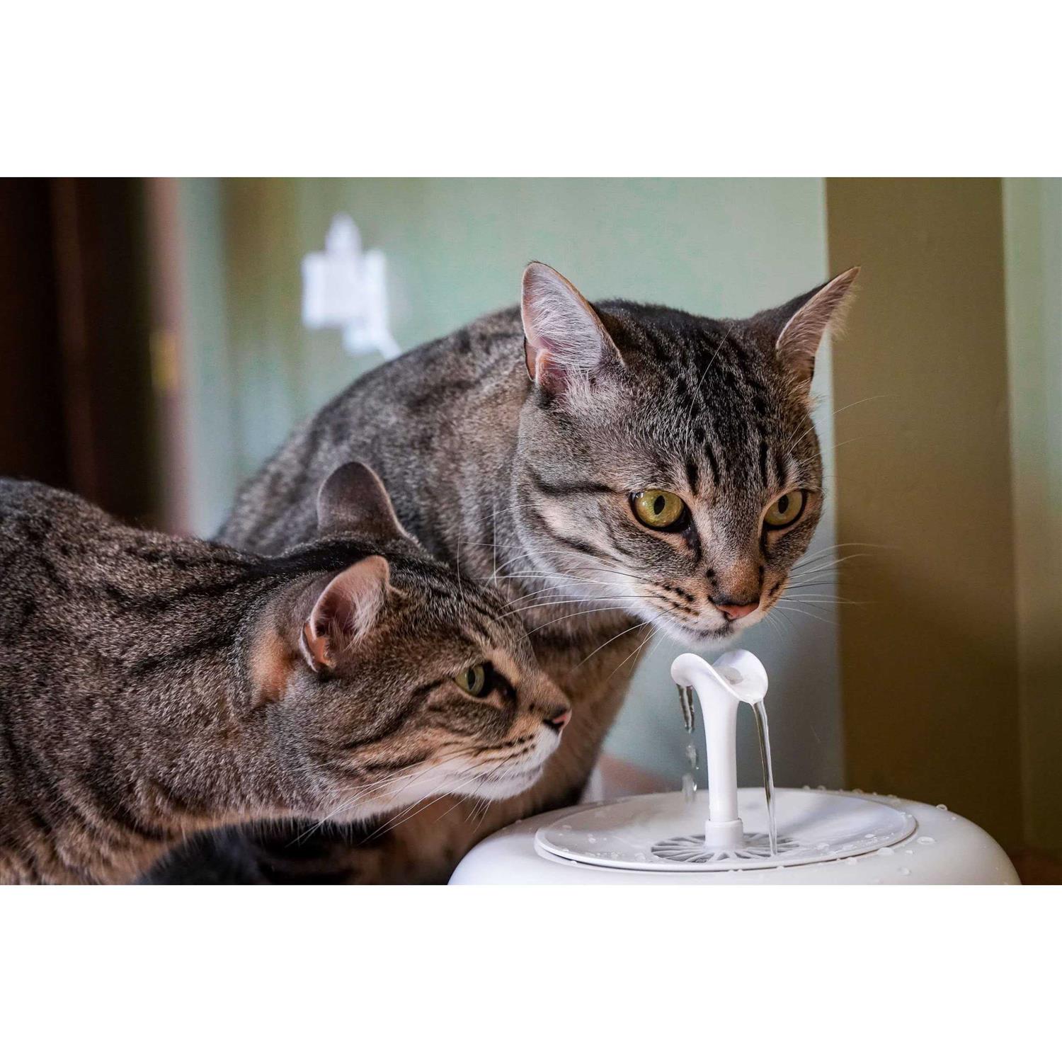 IntelliLeash PURRoducts Purrfect Water Fountain for Cats and Small Dogs with Premium 5-Layer Filter That Lasts Up To Two Months. Splash Free and Tip - Healthber