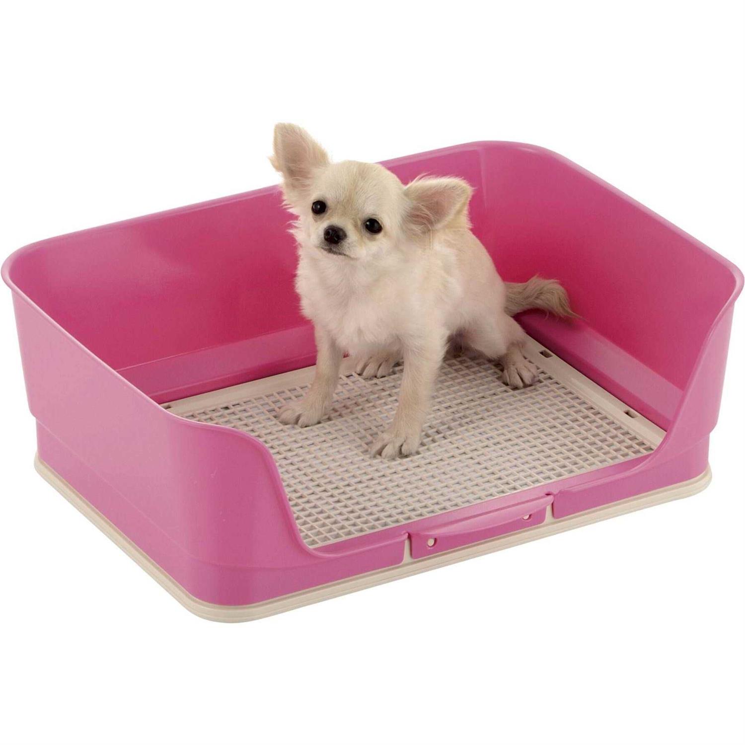 Richell PAW TRAX Splash Free Potty Pad Tray - Healthber