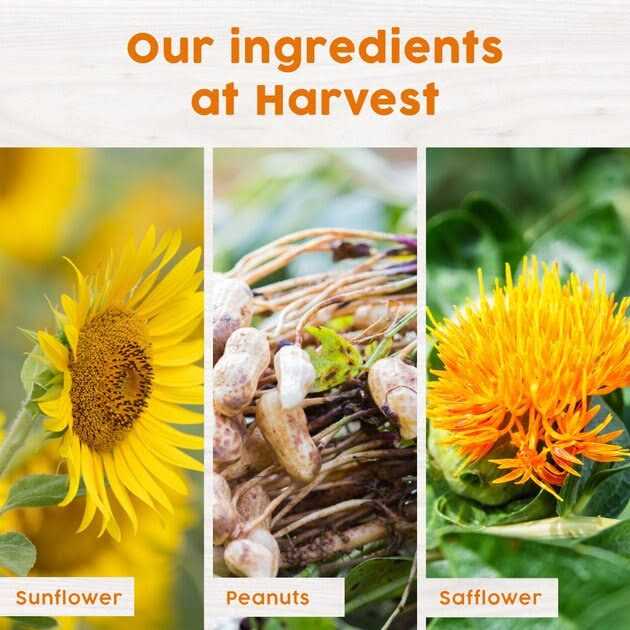 Harvest Seed & Supply Mealworm Snack Stack Wild Bird Food - Healthber