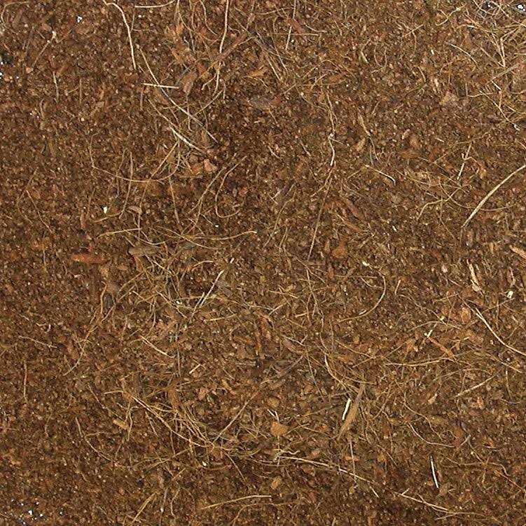 Zoo Med Eco Earth Loose Coconut Fiber Substrate - Healthber