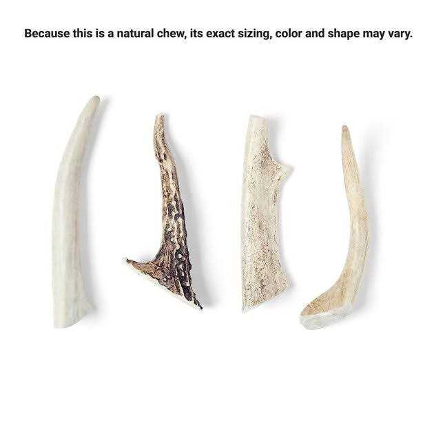 Bones & Chews Made in USA Deer Antler Dog Chew - Healthber