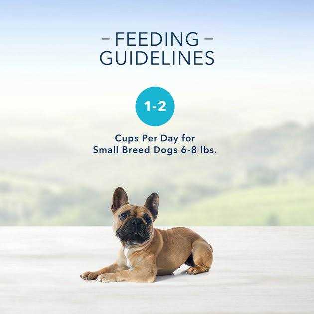Blue Buffalo Divine Delights Pate Variety Pack Top Sirloin & Grilled Chicken Flavor Dog Food Trays - Healthber