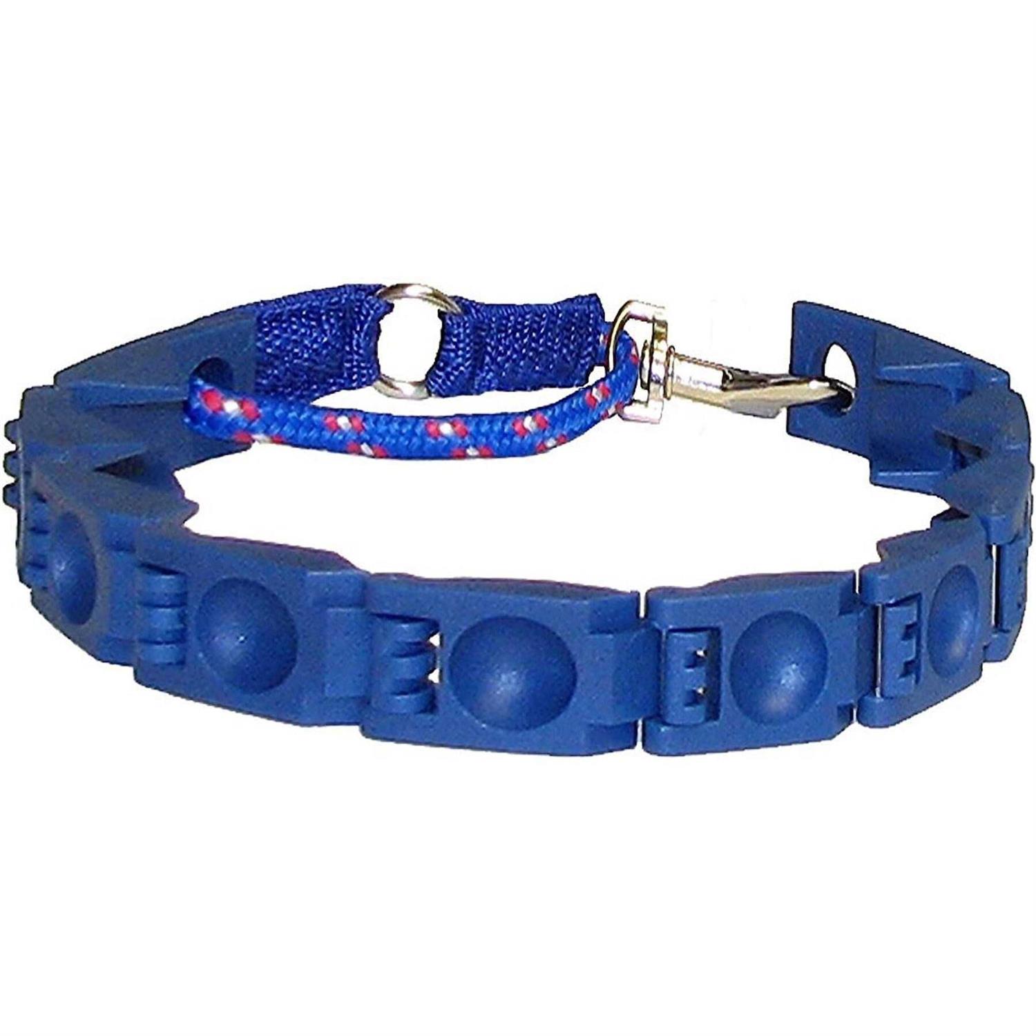 The Perfect Dog Command Training Dog Collar - Healthber