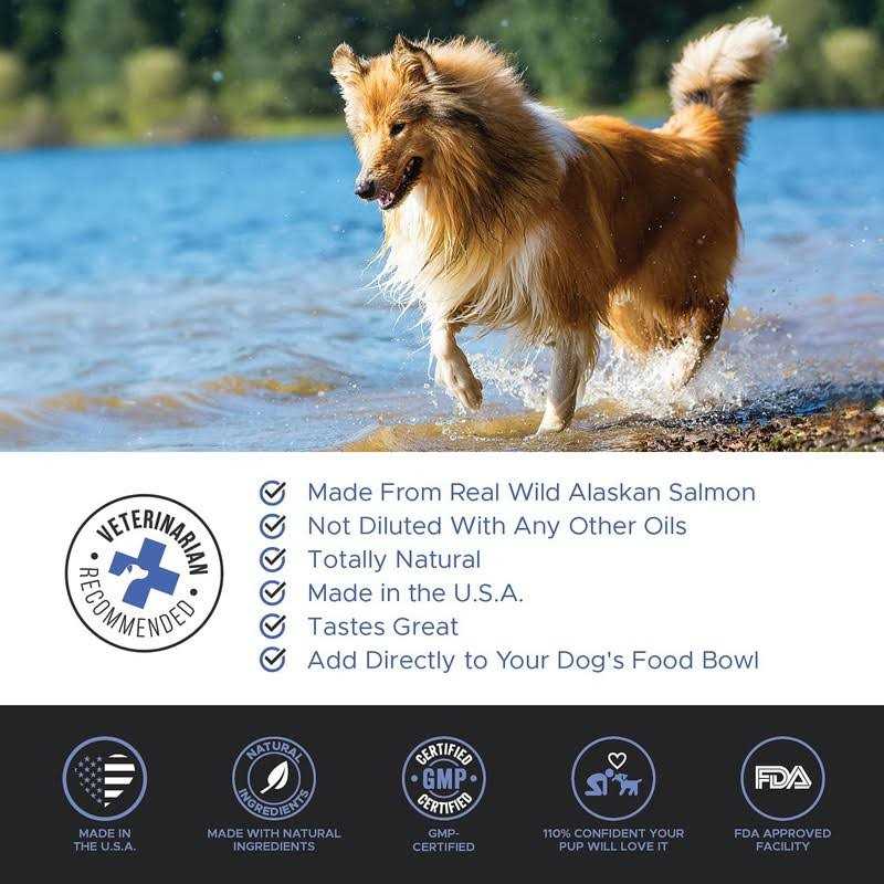 Pet Honesty Wild Alaskan Salmon Oil for Dogs & Cats - Healthber