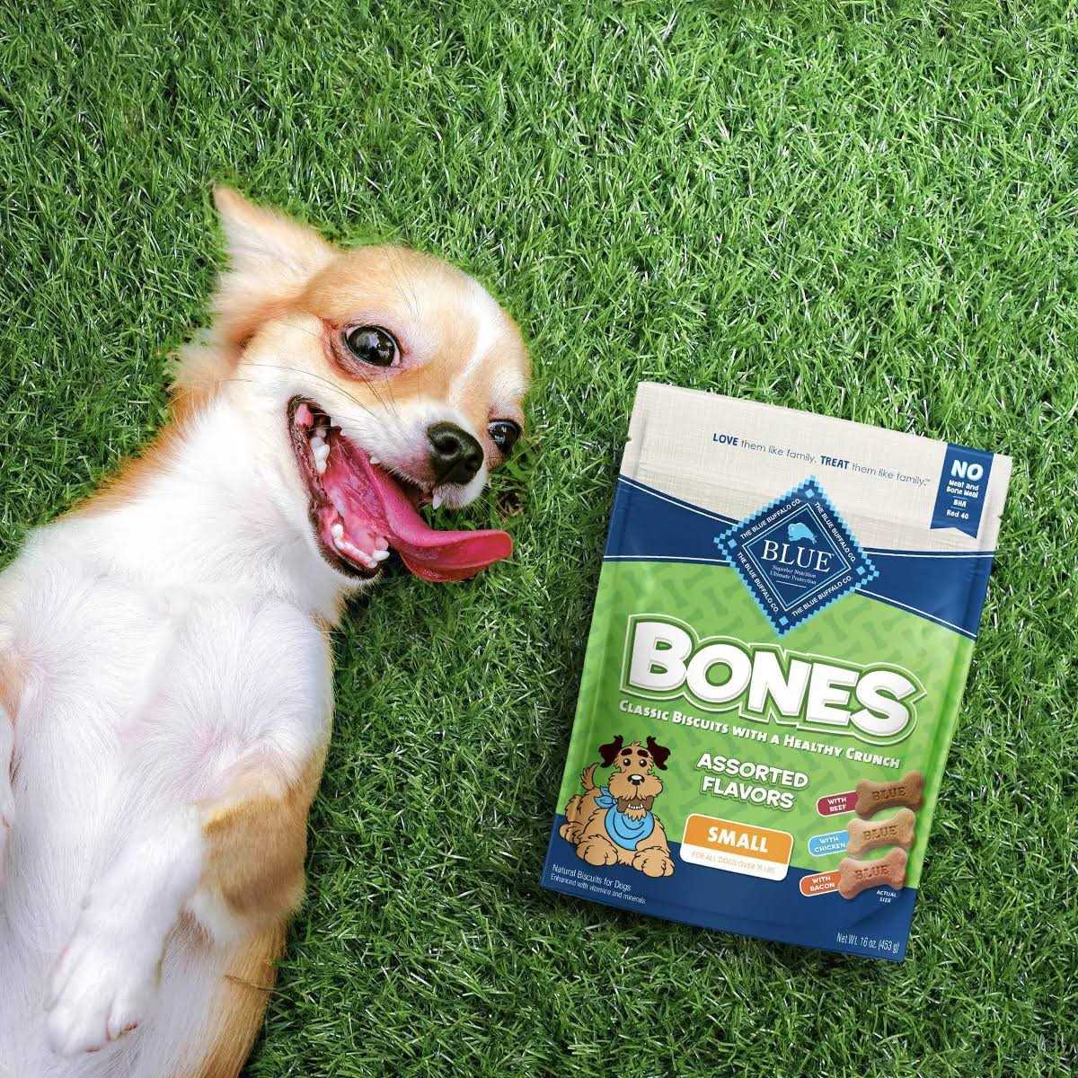 Blue Buffalo Bones Biscuits - Healthber
