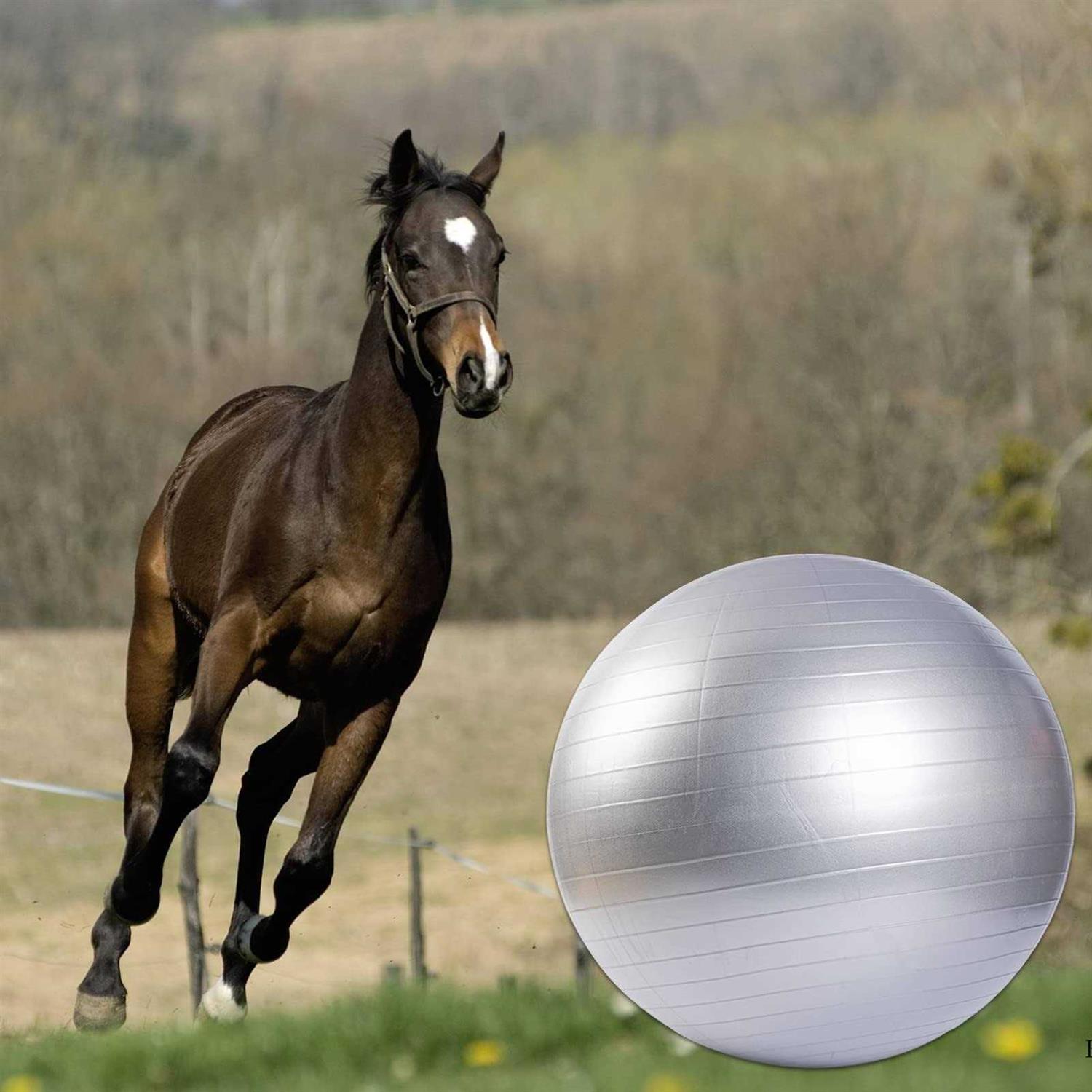 capuca Large Horse Balls for Play 30 Inch Anti-Burst Mega Herding Ball Giant Horse for Dogs Goats Horses to Play with Pump - Healthber