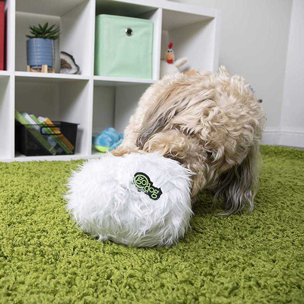 goDog Furballz Chew Guard Dog Toy - Healthber