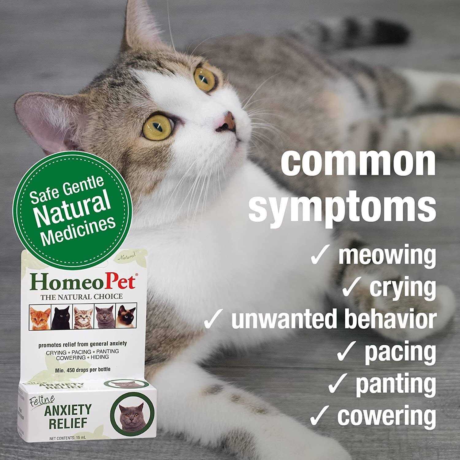 HomeoPet Feline Nose Relief - Healthber