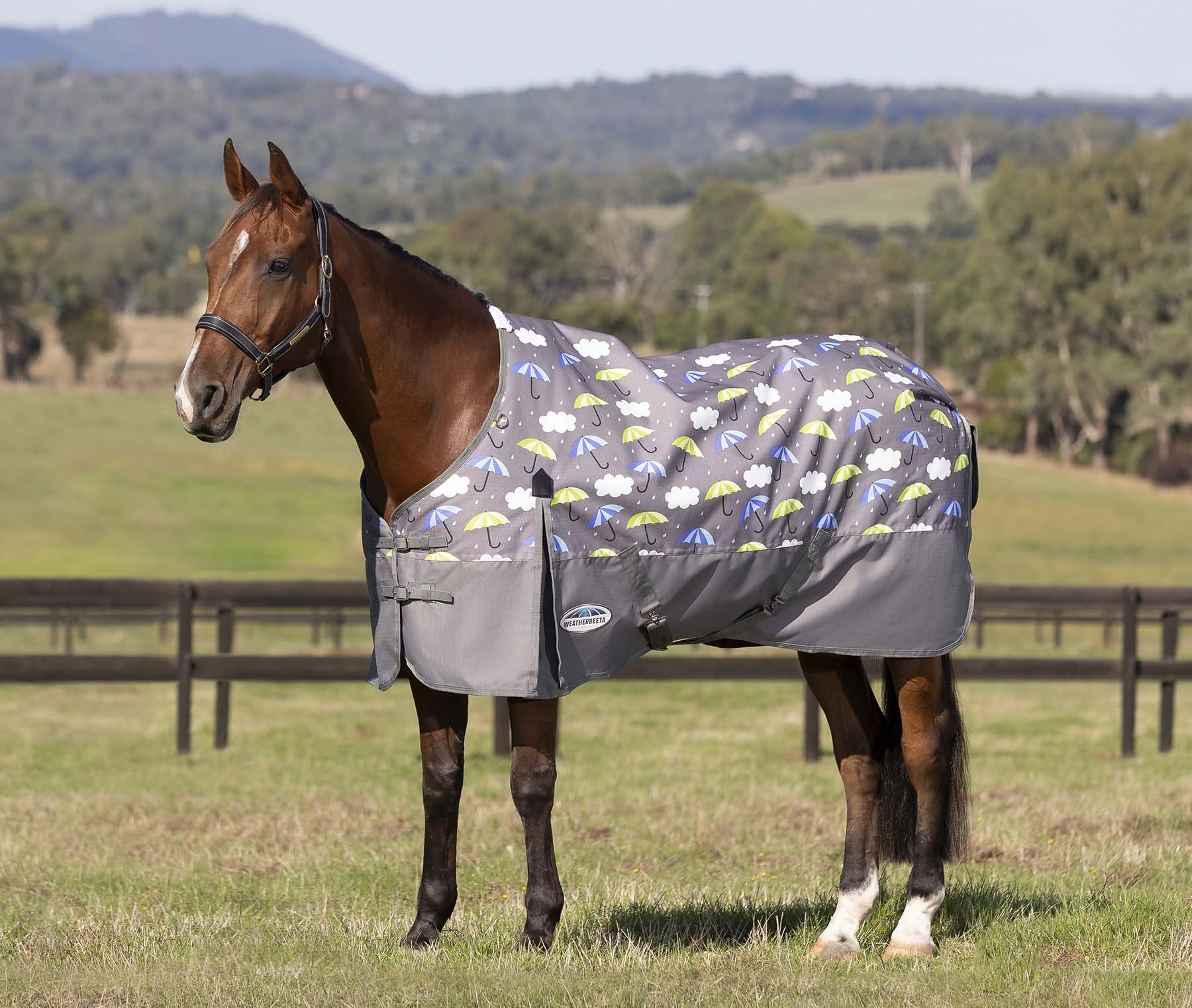 WeatherBeeta ComFITec Essential Standard Neck Sheet - Healthber