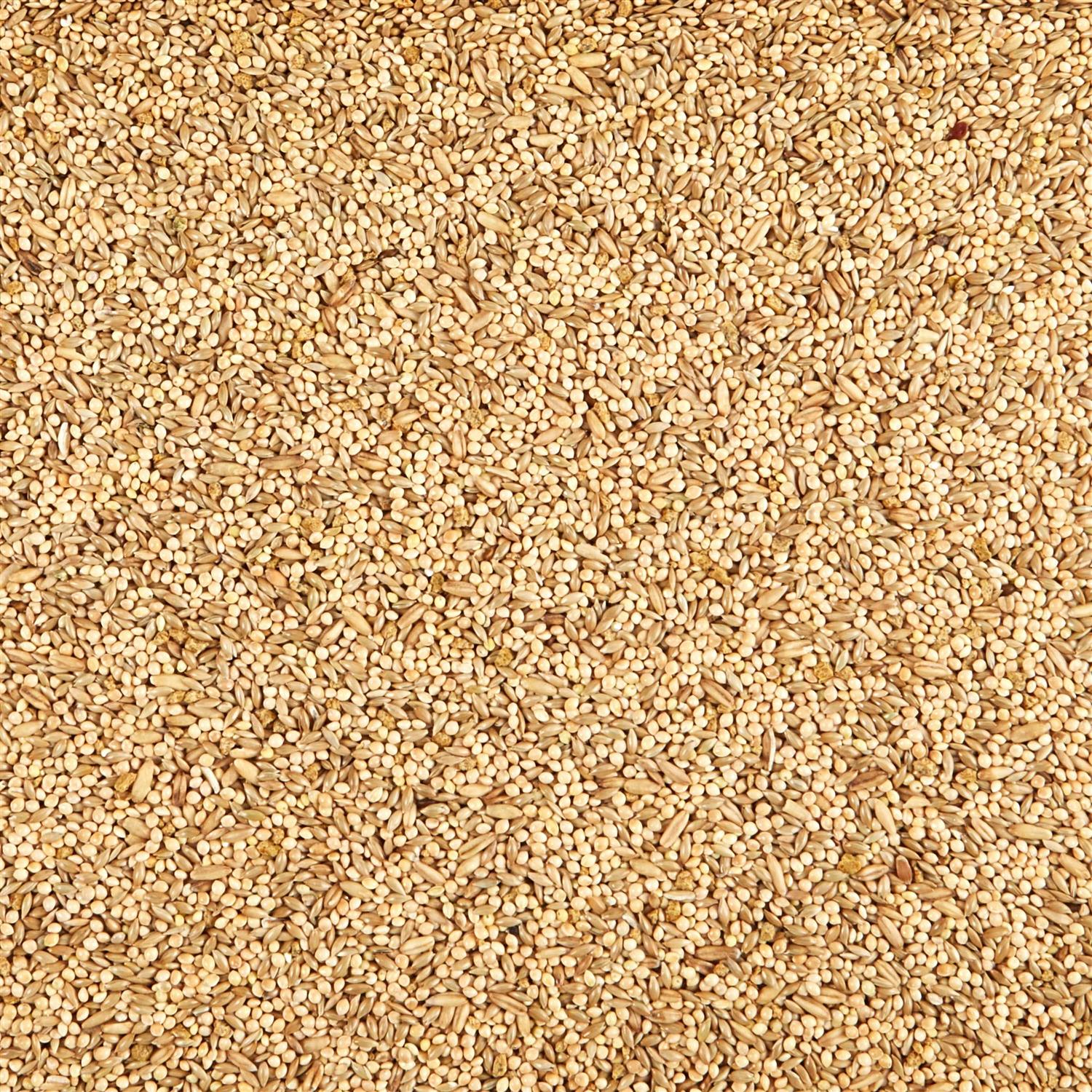 Kaytee Supreme Parakeet Food - Healthber