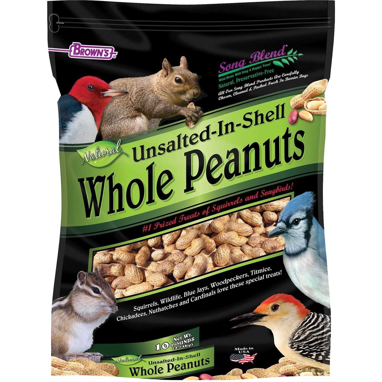 Song Blend Unsalted In-Shell Whole Peanuts Bird Food - Healthber