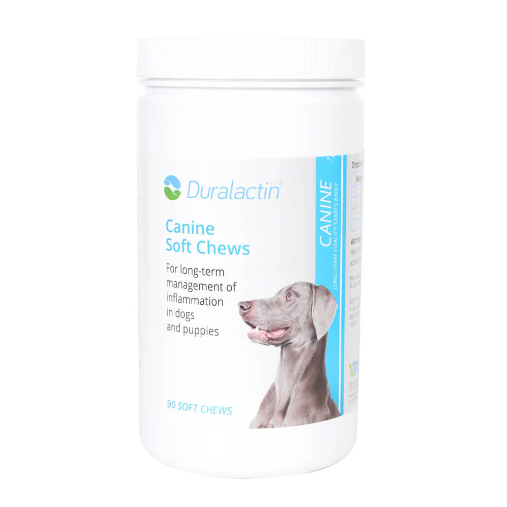 Duralactin Canine Soft Chews, 90 ct - Healthber