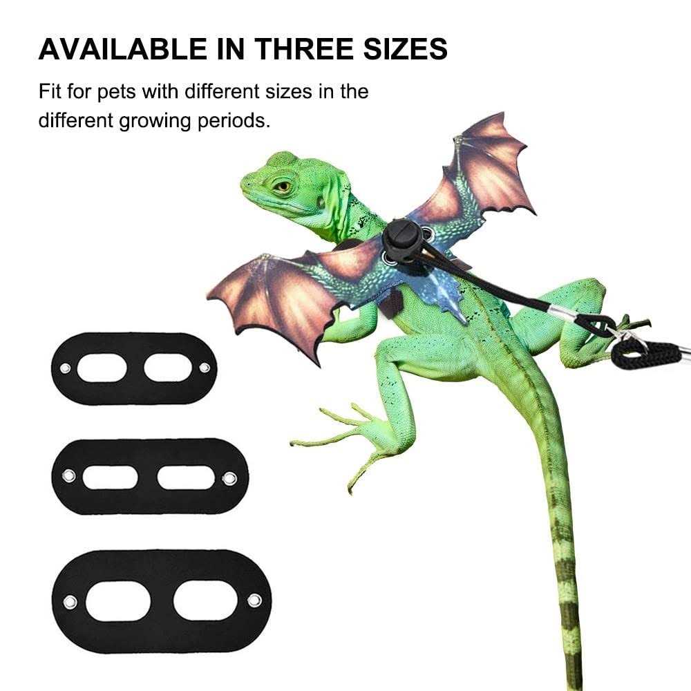 Bearded Dragon Leash Adjustable Portable Reptile Leash with Cool Wings for Gecko - Healthber