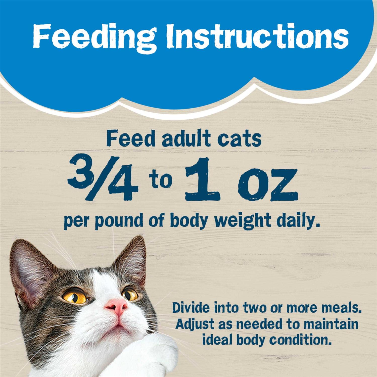Purina Friskies Wet Cat Food Ocean Favorites - Healthber