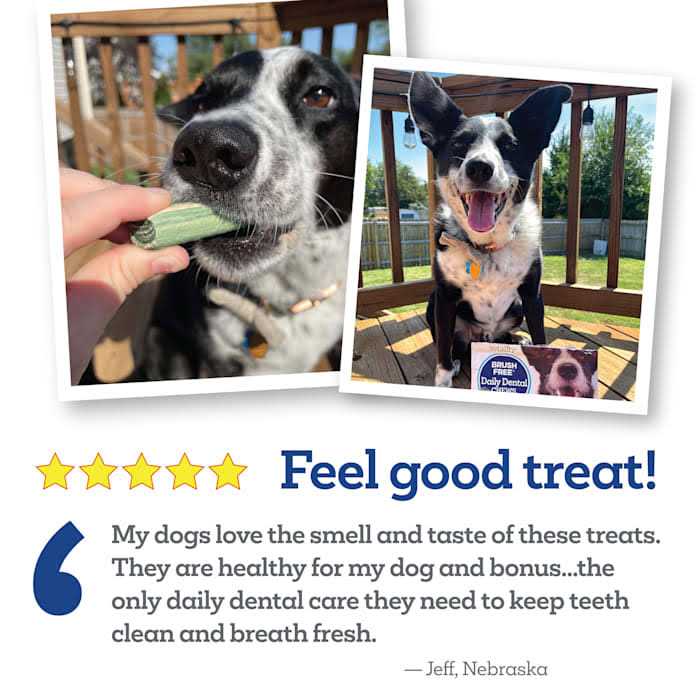 Vetality Brush Free Daily Dental Chews for Dogs - Healthber