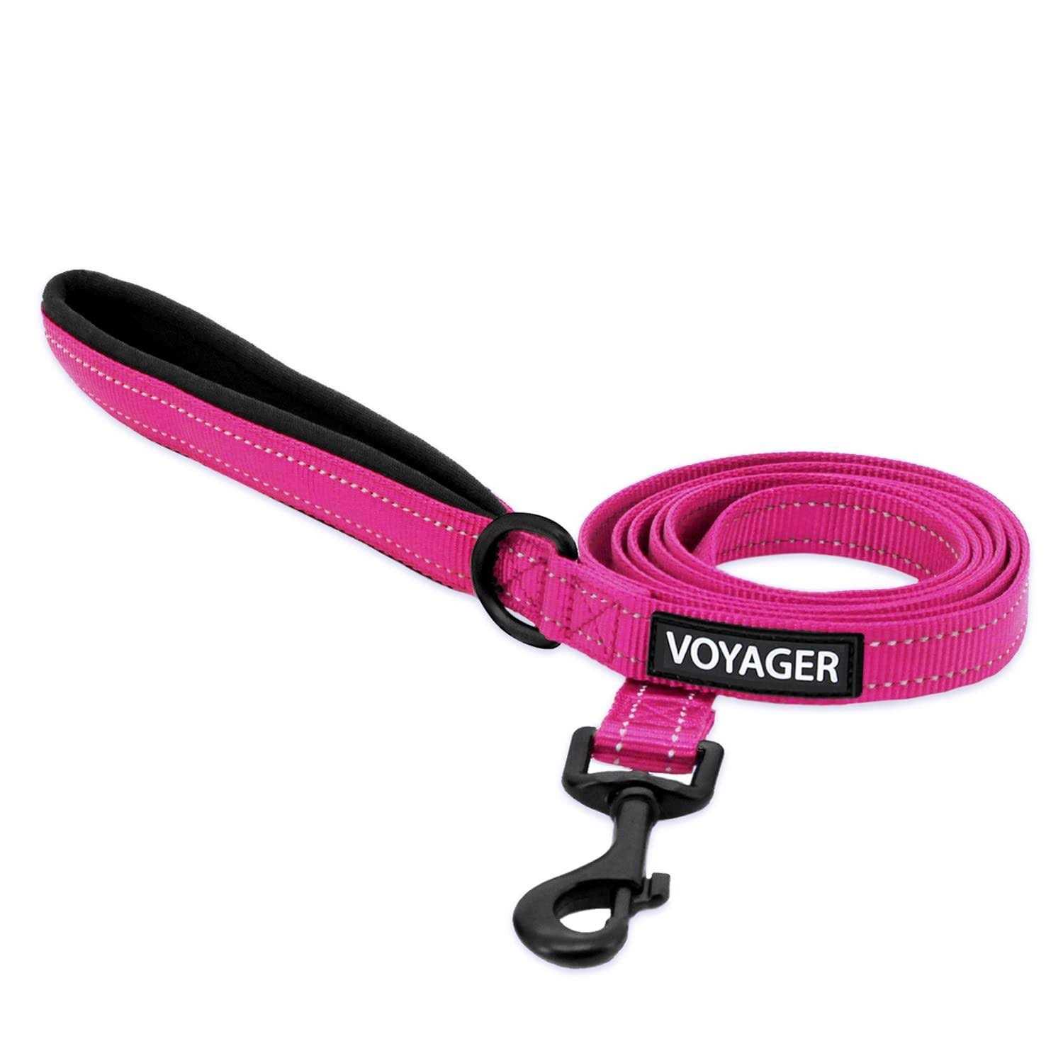 Voyager Reflective Dog Leash with Neoprene Handle, 5ft Long, Supports Small, Medium, and Large Breed Puppies, Cute and Heavy Duty for Walking - Healthber