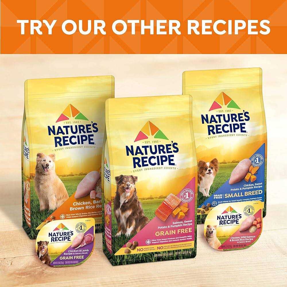 Nature’s Recipe Grain Free Chicken Dry Dog Food - Healthber