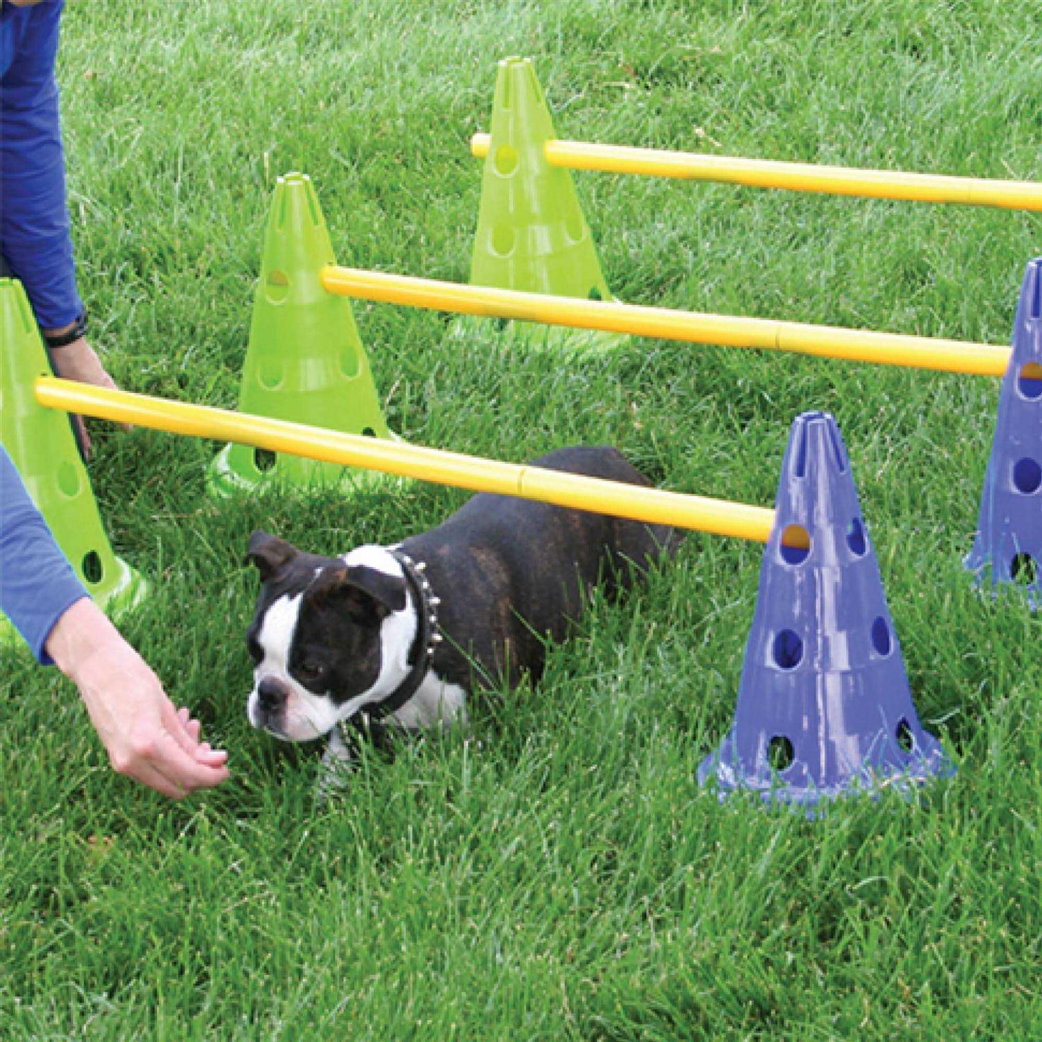 FitPAWS CanineGym Dog Agility Kit - Healthber
