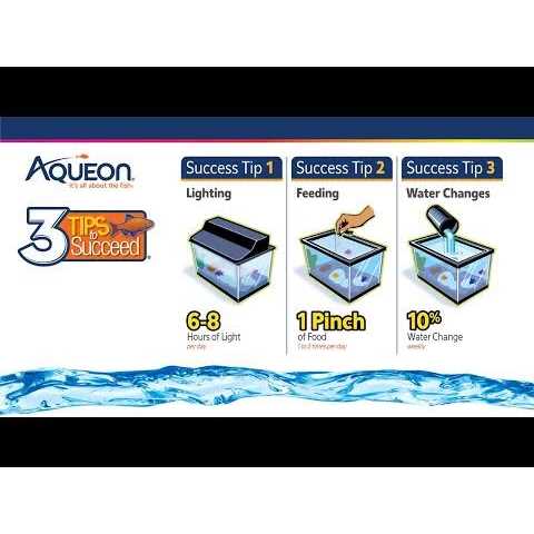 Aqueon Frameless Cube Aquarium - Healthber