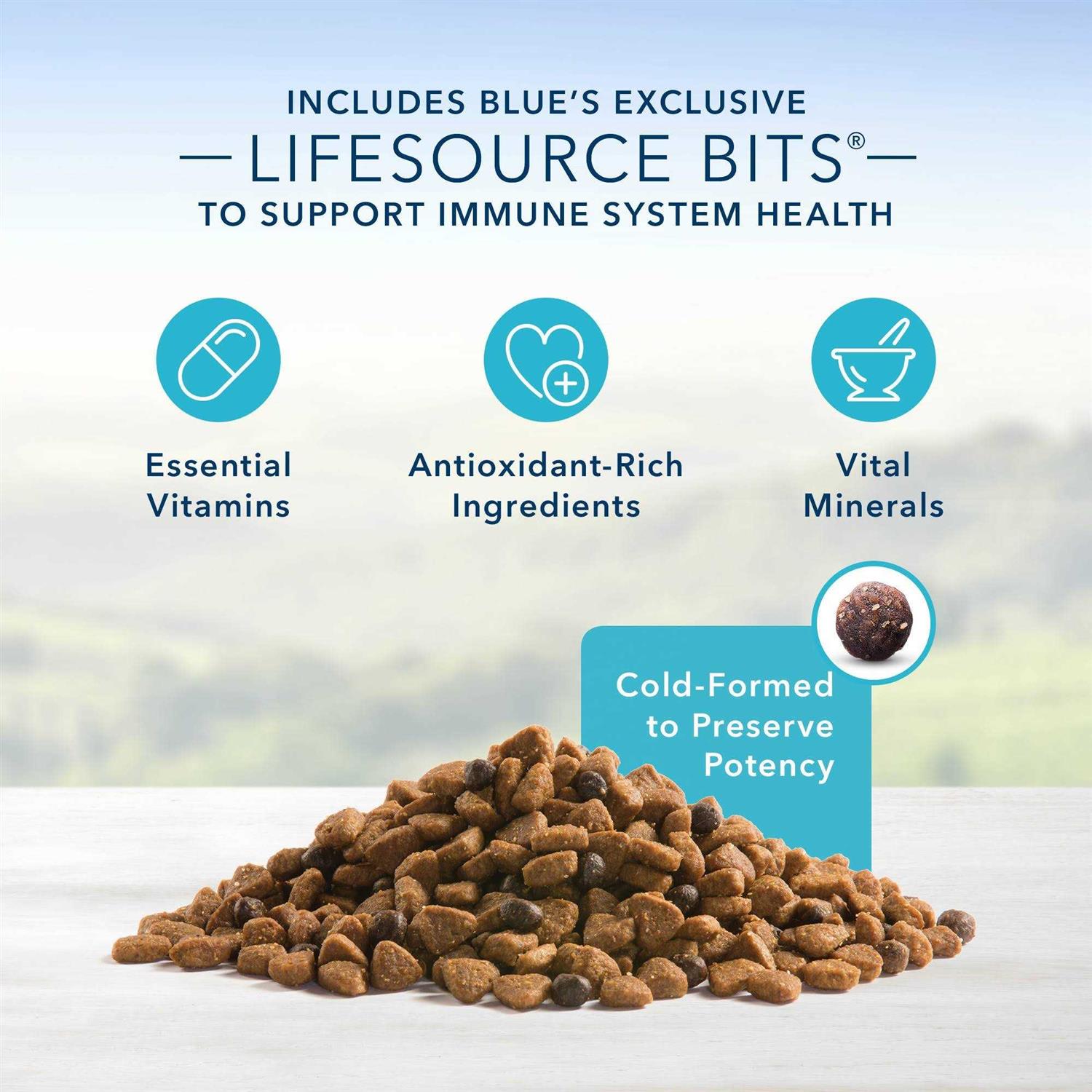 Blue Buffalo Life Protection Formula Adult Lamb & Brown Rice Dry Dog Food - Healthber