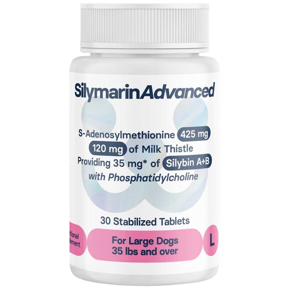 Silymarin Advanced Dogs and 30 tablets - Healthber