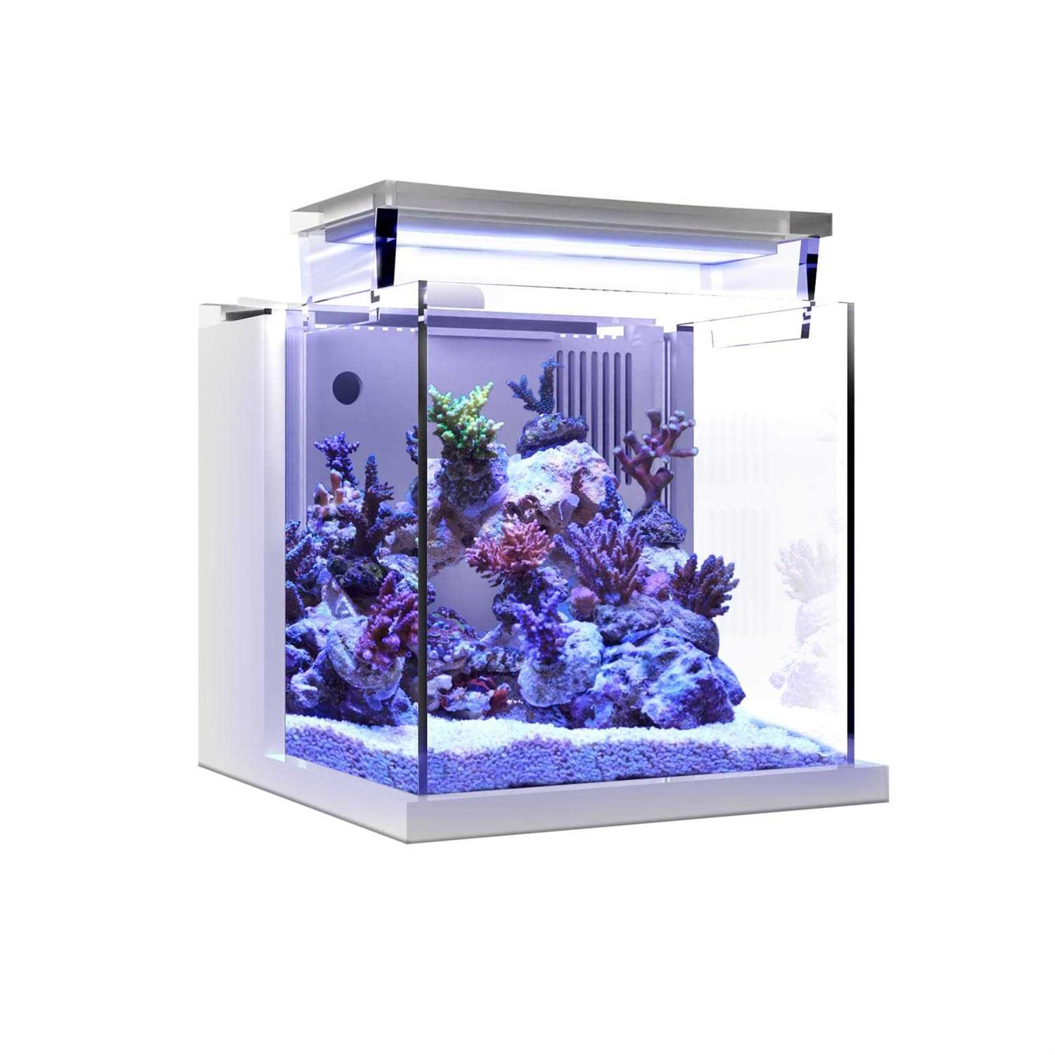 MagTool Premium All-in-One Desktop Mini Acrylic 0.95gal Reef Aquarium with Back Filter System and LED Light - Healthber