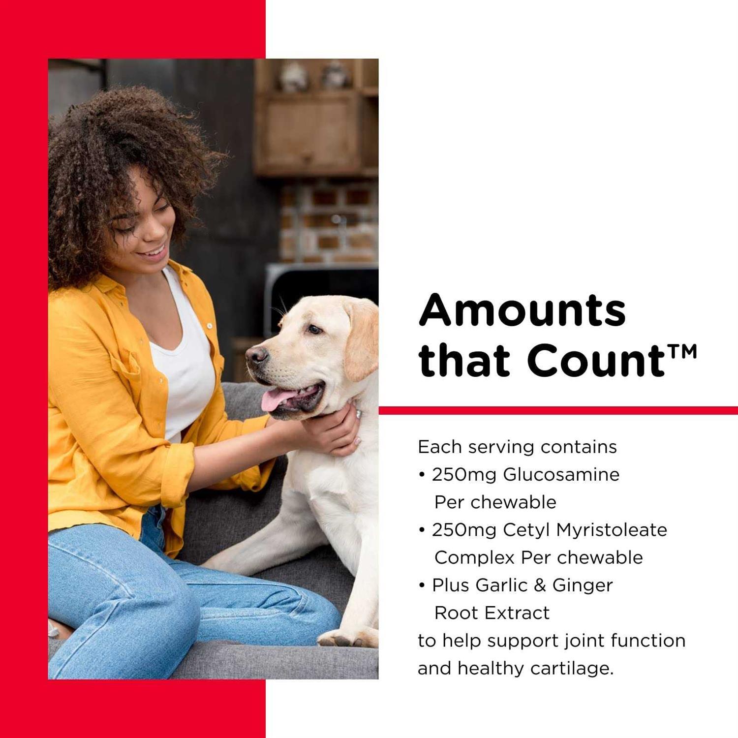 Advanced Cetyl M Joint Action Formula for Dogs - Healthber