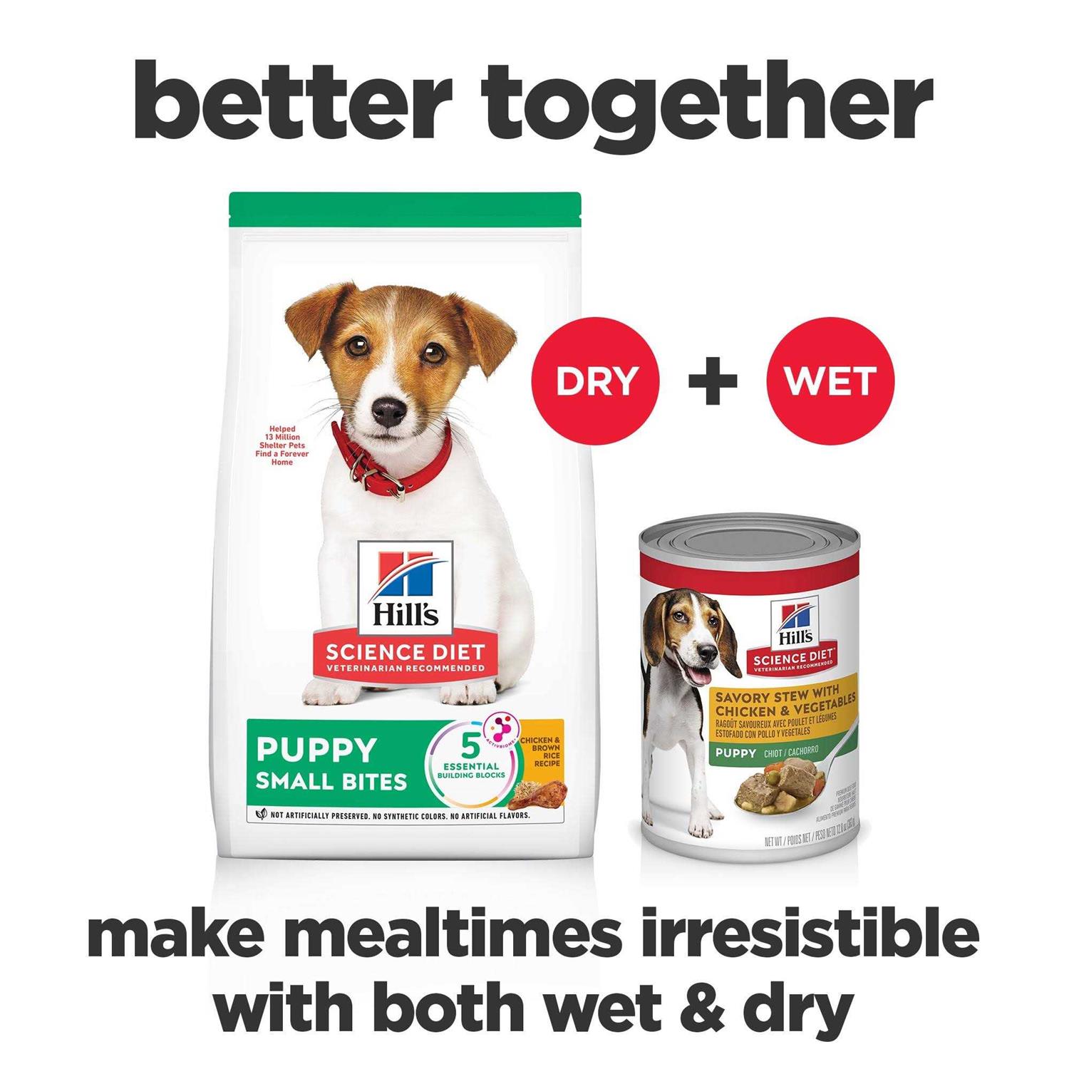 Hill’s Science Diet Puppy Small Bites Chicken Meal & Barley Recipe Dry Dog Food - Healthber