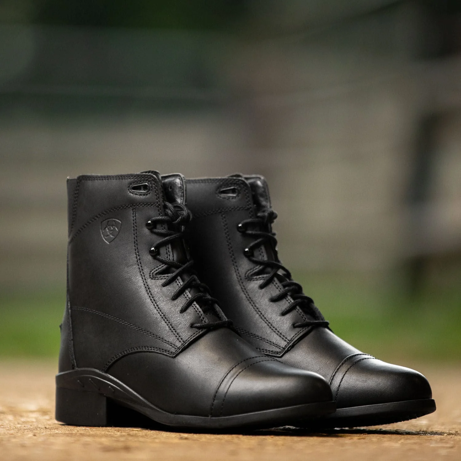 Ariat Women's Scout Paddock Boot, Black - Healthber