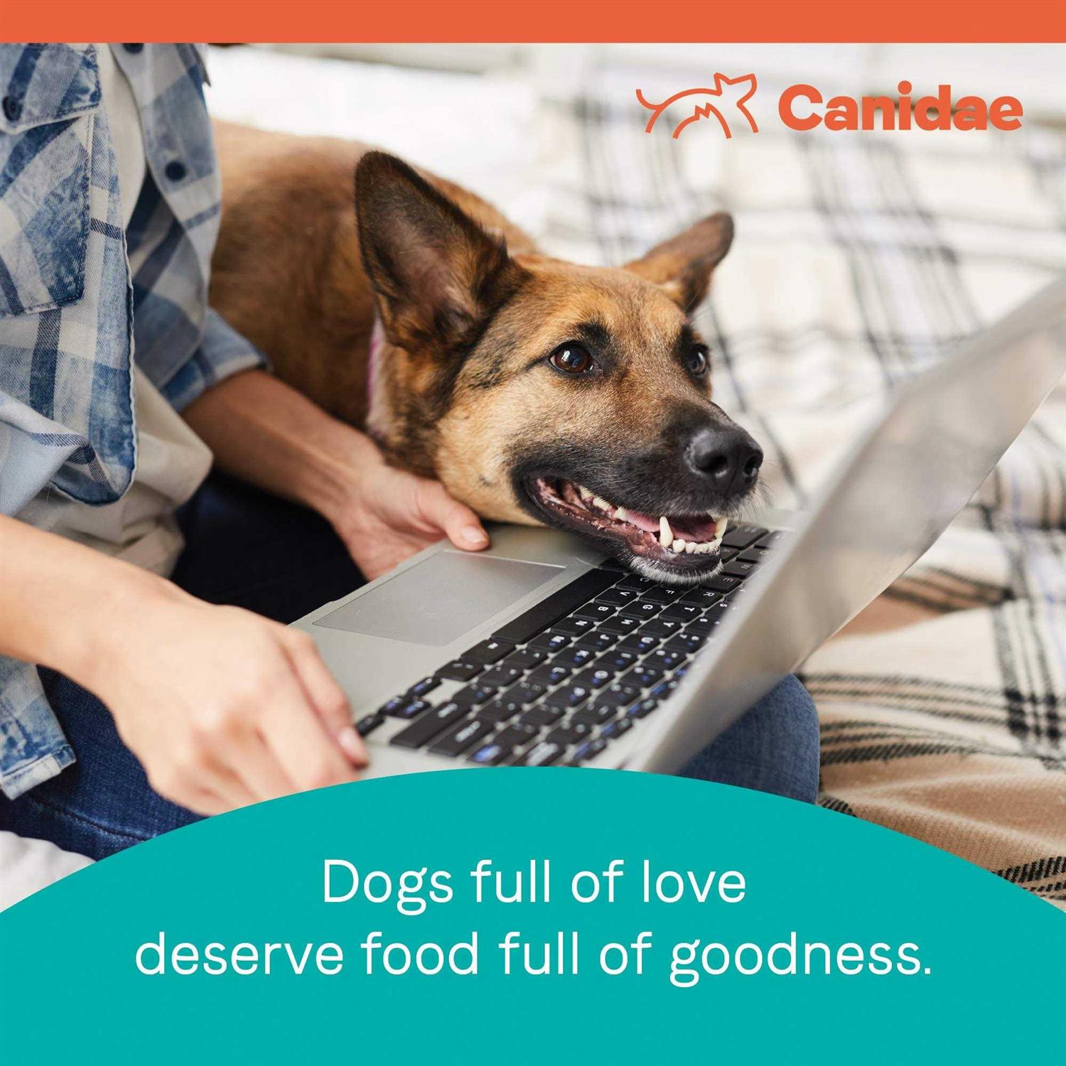 Canidae Pure Puppy Salmon & Oatmeal Dry Dog Food - Healthber