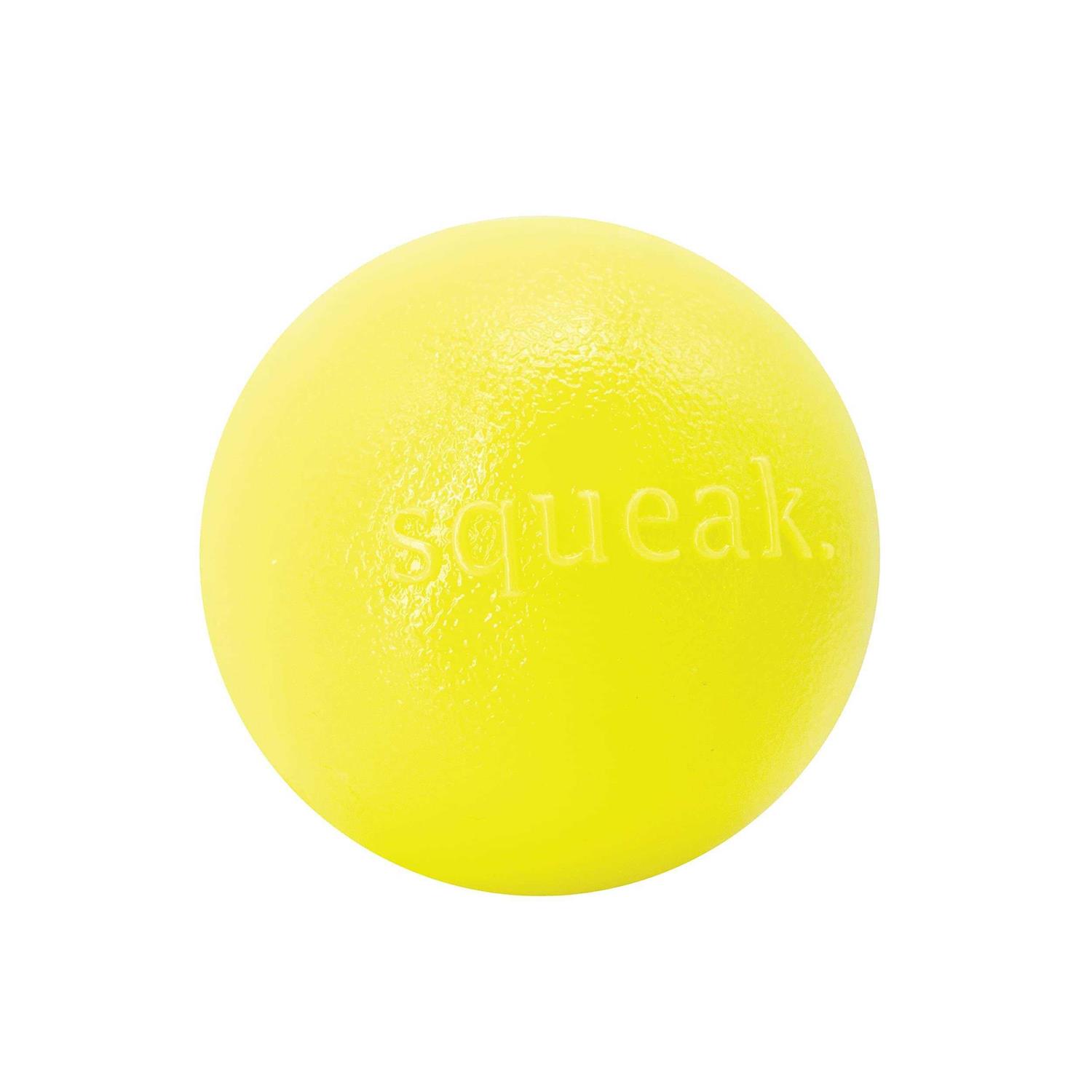 Planet Dog Orbee-Tuff Squeak Toy Ball - Healthber