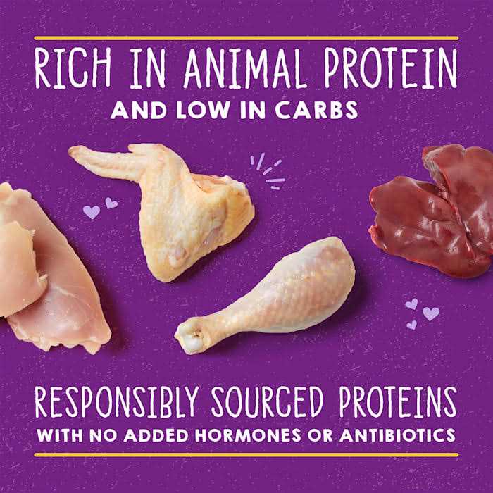 Stella & Chewy’s Cat Carnivore Cravings Pate Chicken - Healthber