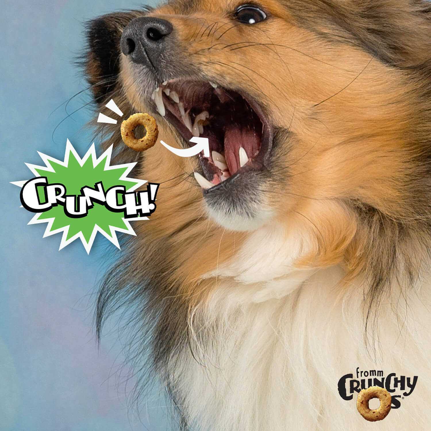 Fromm Crunchy O’s Dog Treats - Healthber