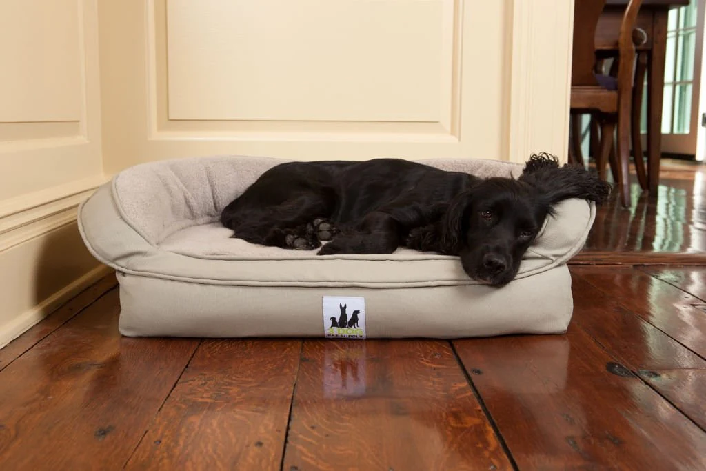 EZ-Wash Poly Headrest Dog Bed, Small - Healthber