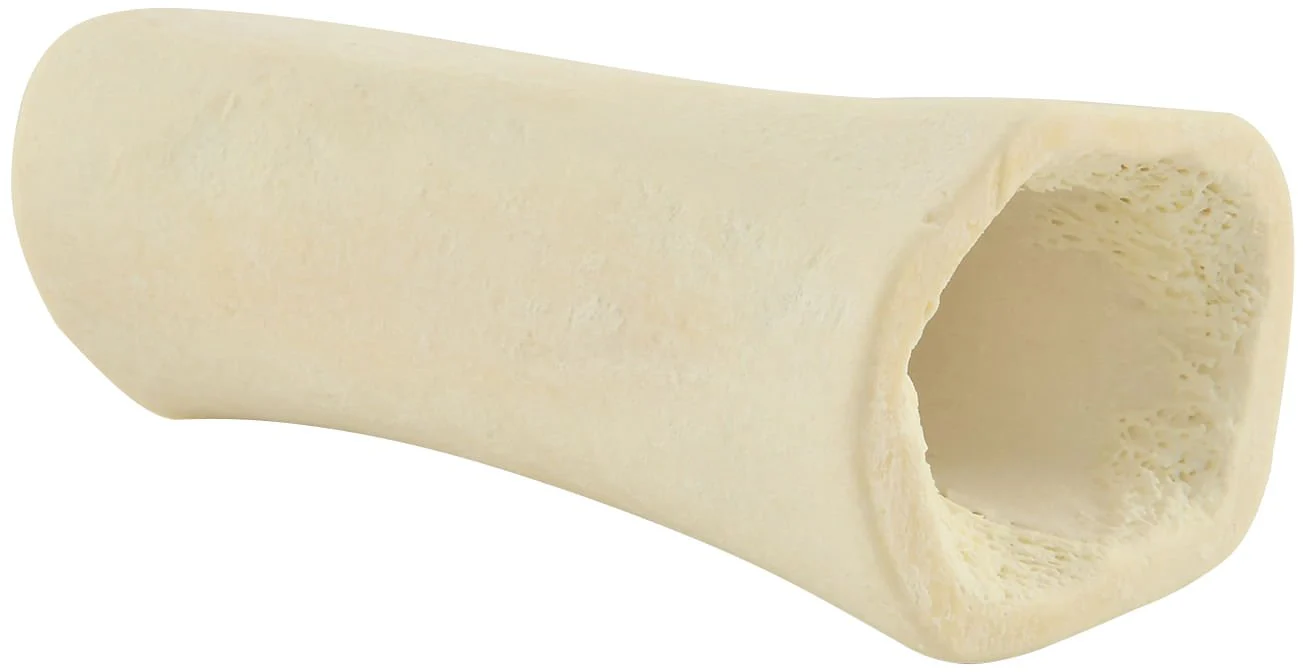 Bare Bones - Healthber